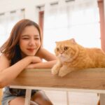 A woman leans on a table, smiling at an orange cat lying on the tabletop in a brightly lit room—reminding us how important it is to include pets in will plans for their care in Singapore.